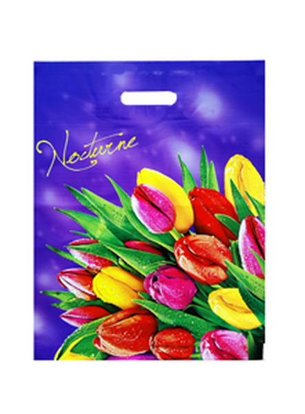 Ноктюрн 40*50 (85) 1/50*500 пак.пр/р