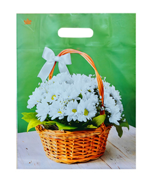 Идеальный подарок 31*40 (60мкм) 1/50*500 пак.пр/р
