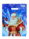 Новогодняя почта 31*40(60) 1/50*500 пак. пр/р