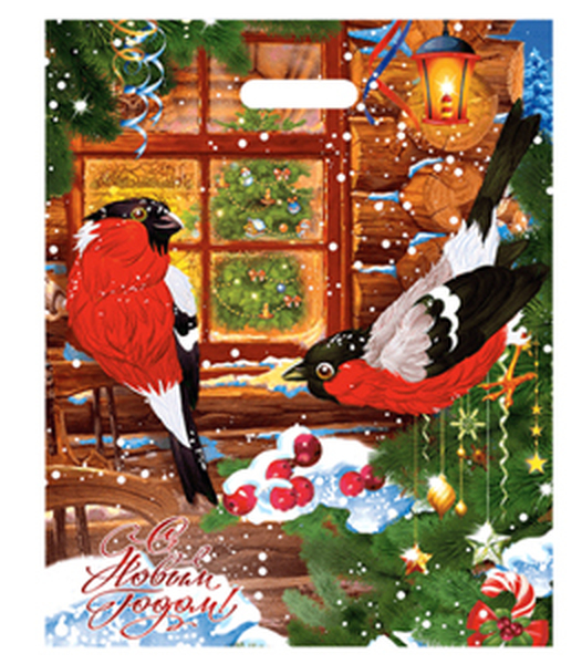 Зимняя сказка  38*47 60 мкм 1/25*1000 пак пр/р